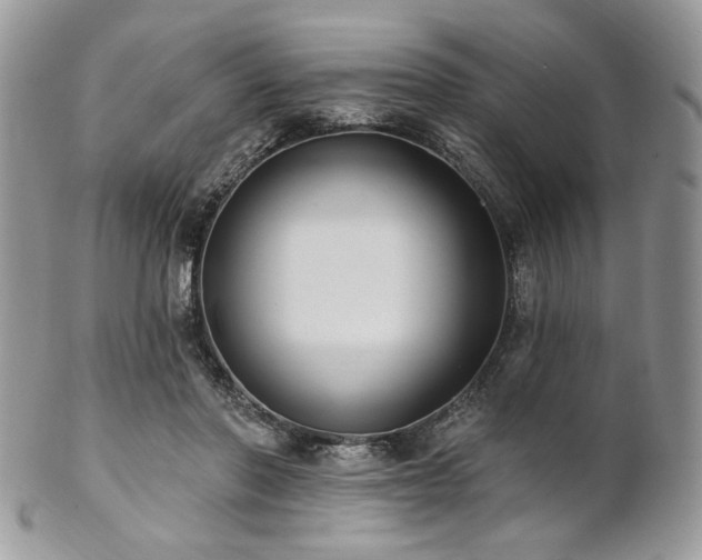 X0000102810406200808181228