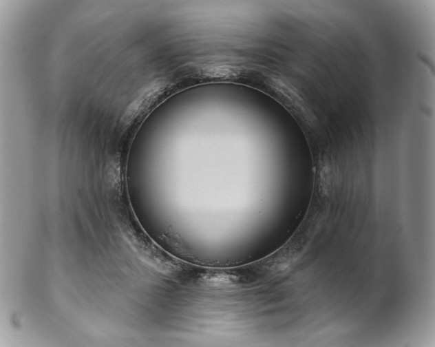 X0000102810407200808181228