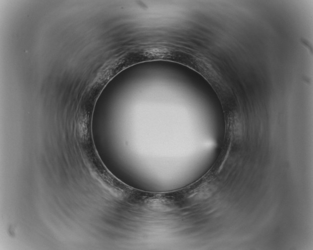 X0000102810408200808181228