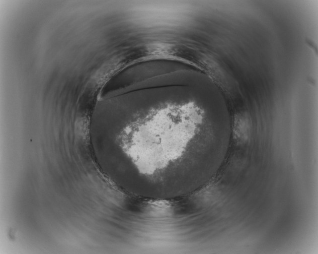 X0000102810409200808181228