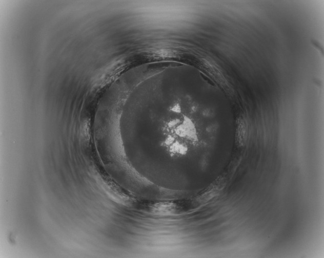 X0000102810410200808181228