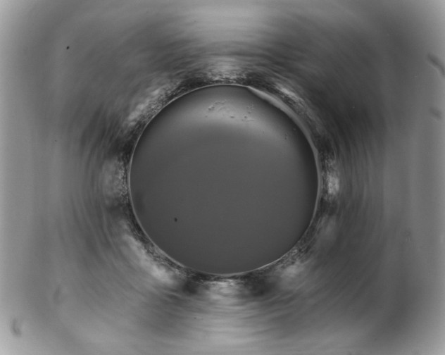 X0000102810411200808181228