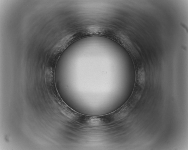 X0000102810413200808181228