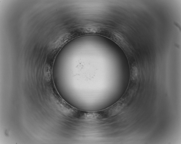 X0000102810414200808181228