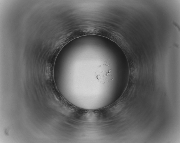 X0000102810416200808181228