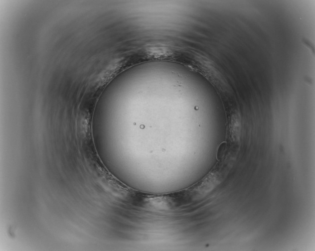 X0000102810417200808181228