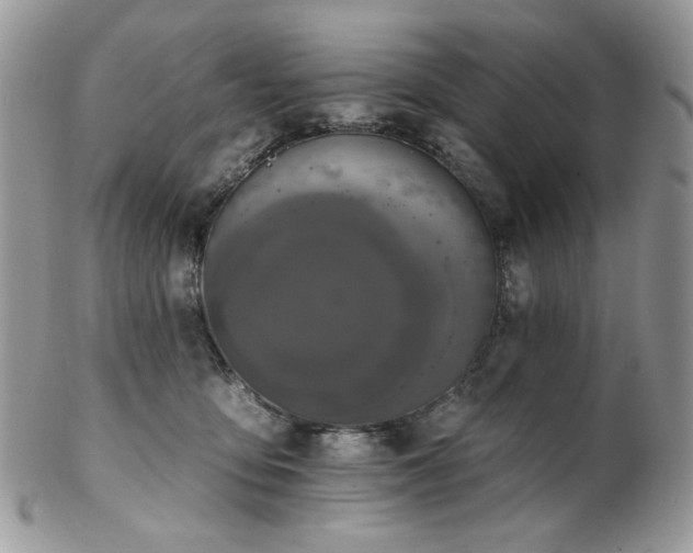 X0000102810419200808181228