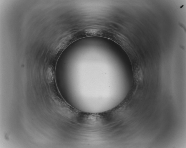 X0000102810420200808181228