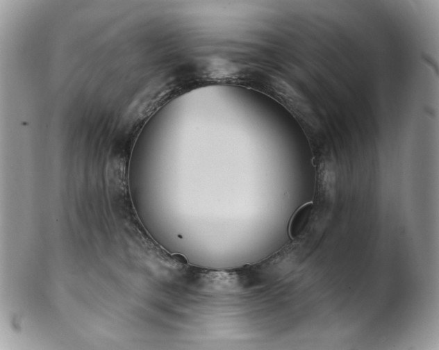 X0000102810421200808181228