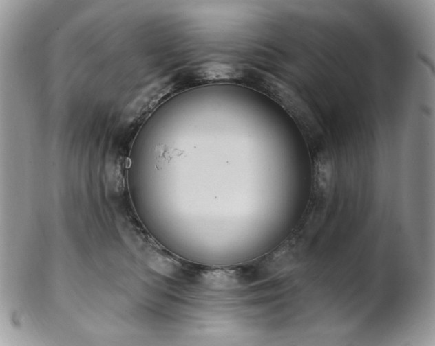 X0000102810422200808181228