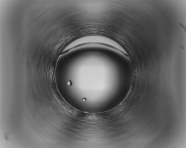 X0000102810423200808181228