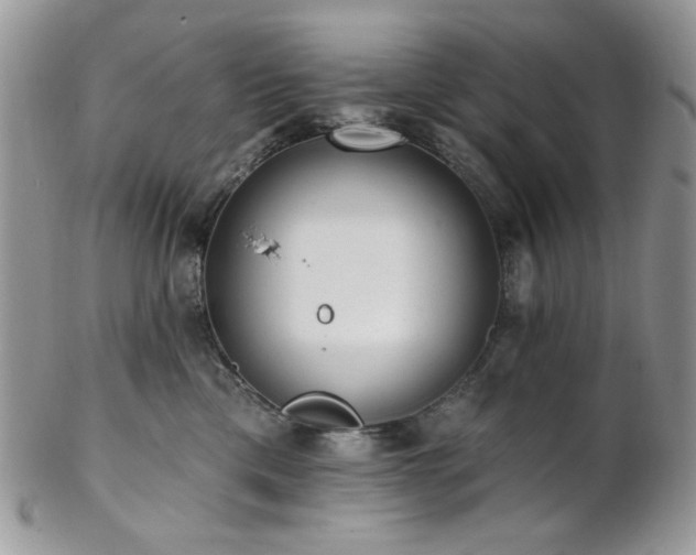 X0000102810425200808181228