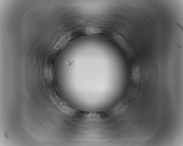 X0000102810426200808181227