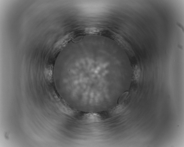 X0000102810427200808181227