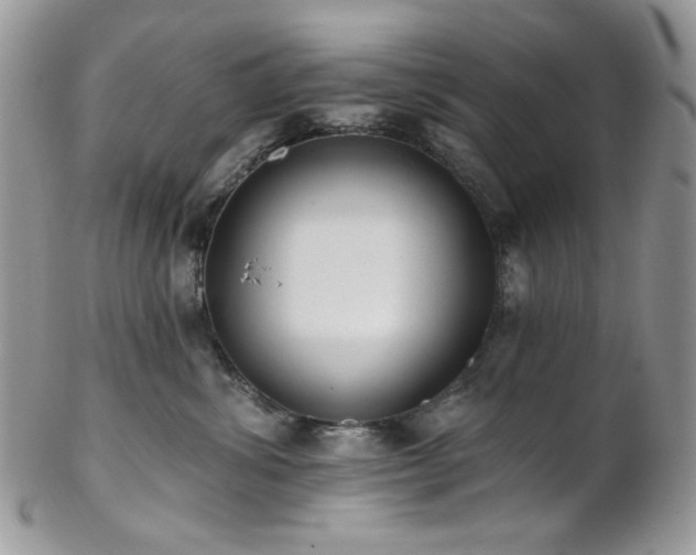 X0000102810428200808181227