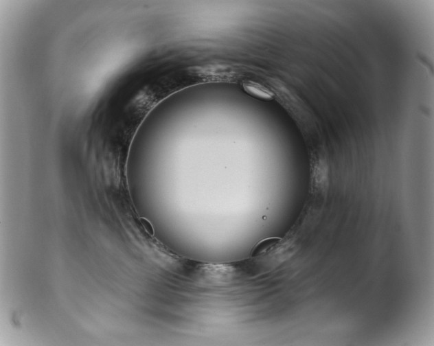 X0000102810429200808181227