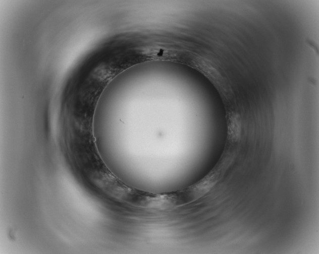 X0000102810430200808181227