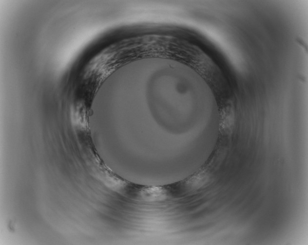 X0000102810431200808181227