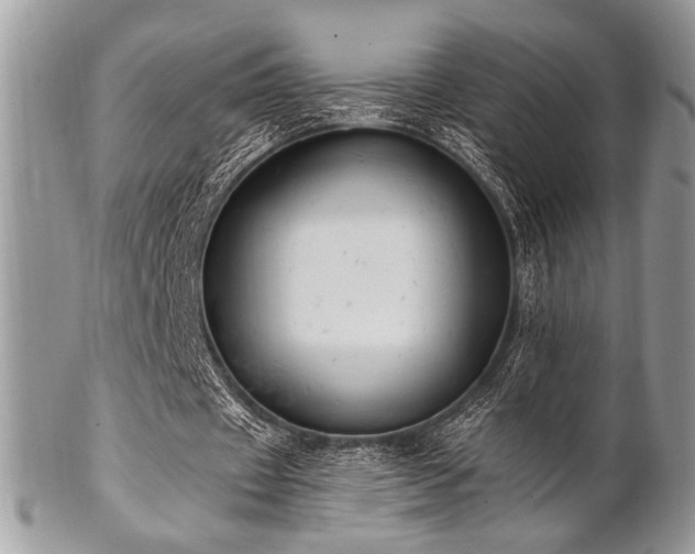 X0000102810433200808181227