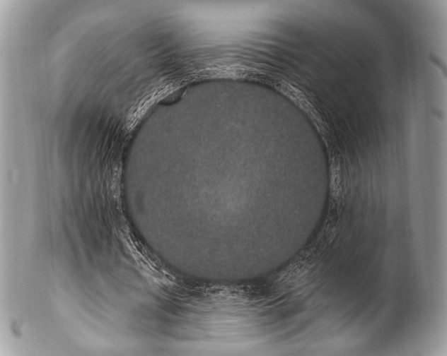 X0000102810434200808181227