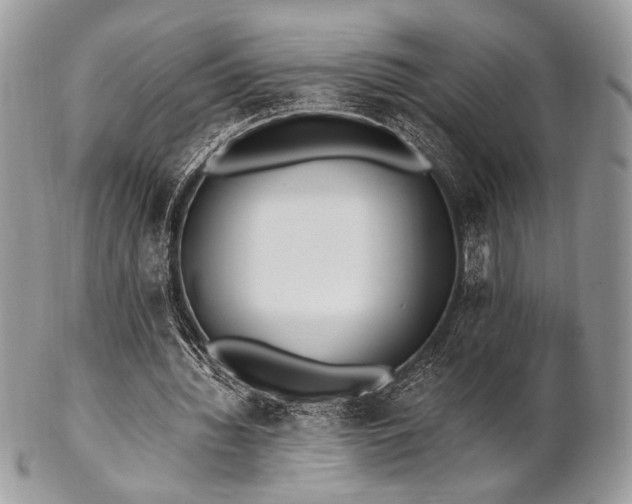 X0000102810436200808181227