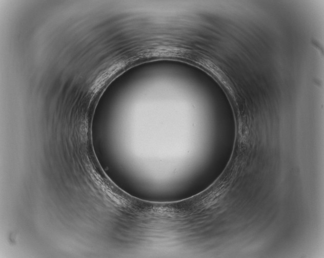 X0000102810437200808181227