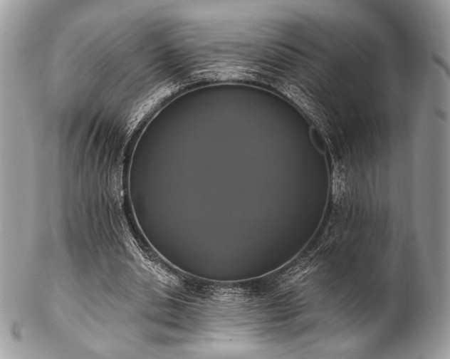 X0000102810438200808181227