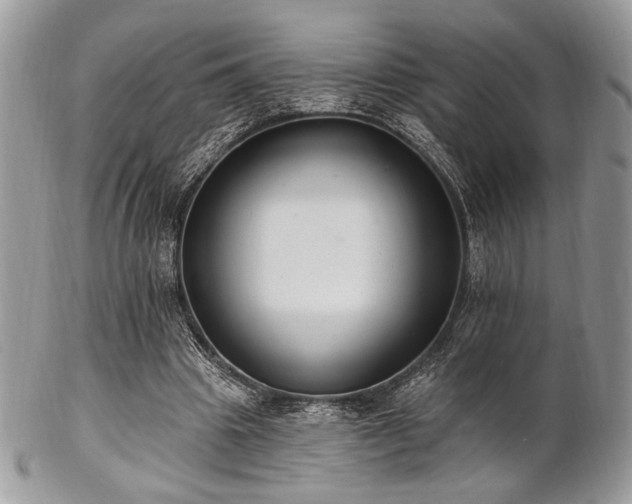 X0000102810441200808181227