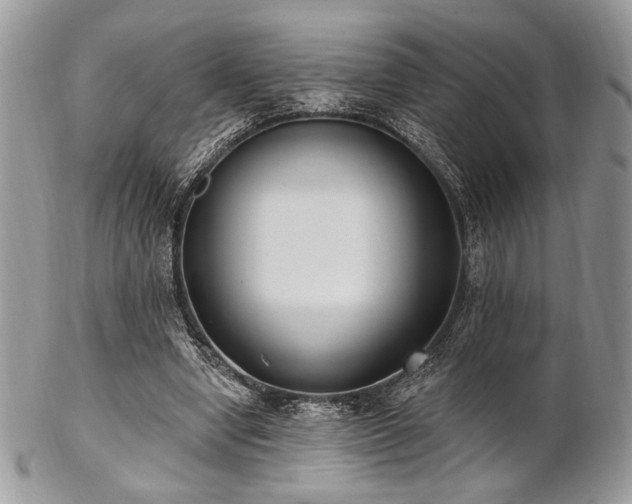 X0000102810442200808181227