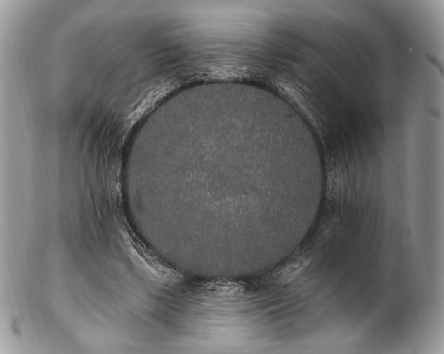 X0000102810443200808181227