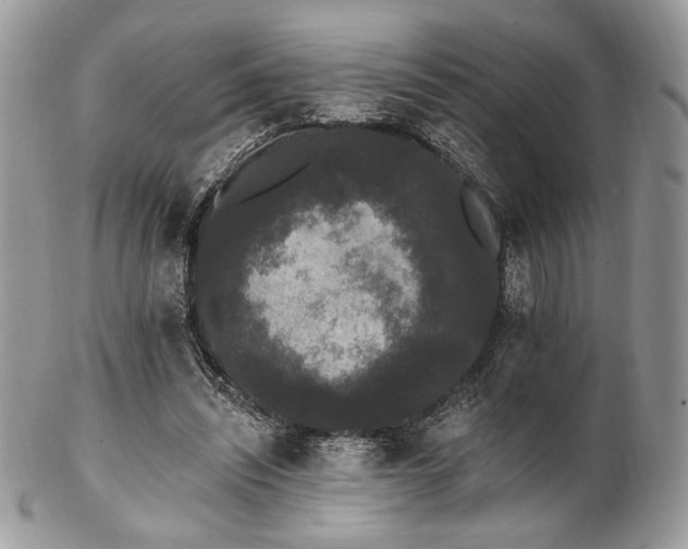 X0000102810444200808181227