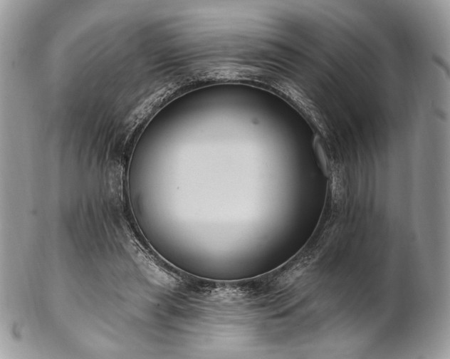 X0000102810445200808181227