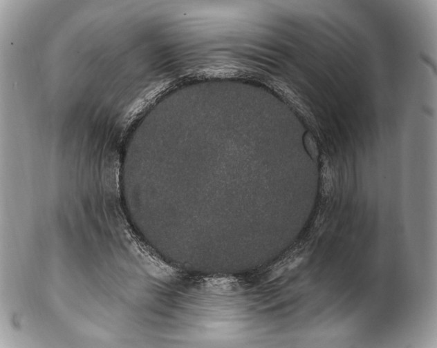 X0000102810446200808181227