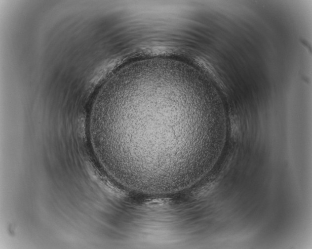 X0000102810447200808181227