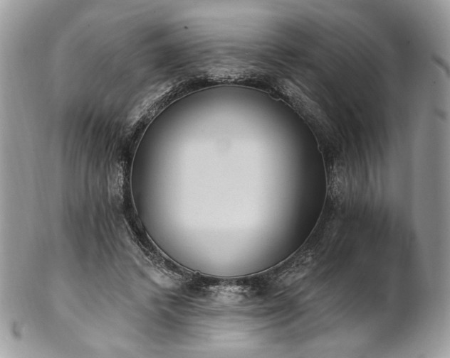 X0000102810448200808181227