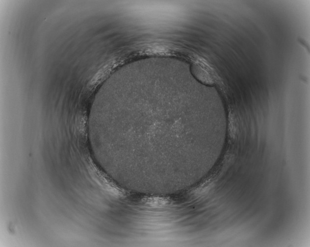 X0000102810449200808181227