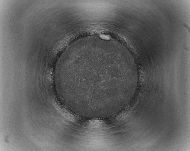 X0000102810451200808181227