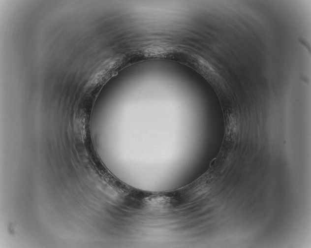 X0000102810452200808181227