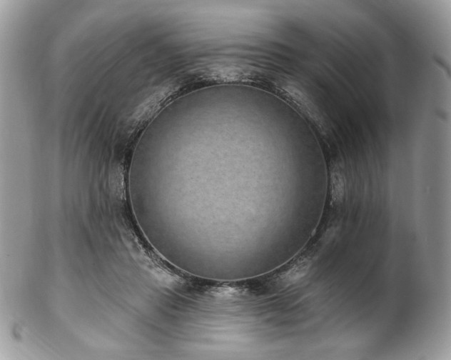 X0000102810453200808181227