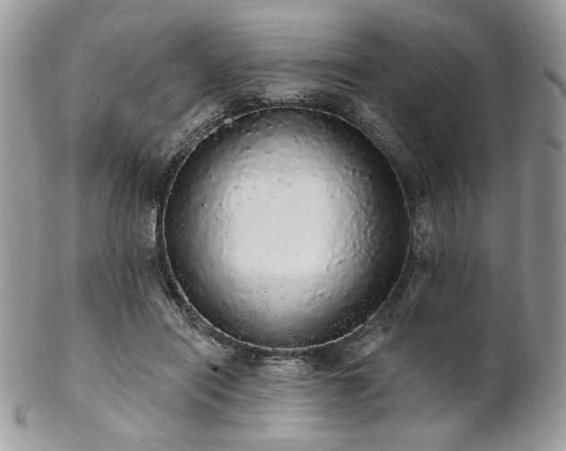 X0000102810454200808181227