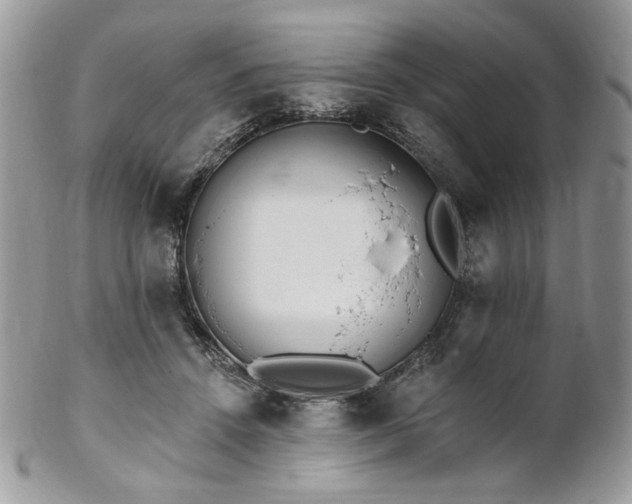 X0000102810456200808181227