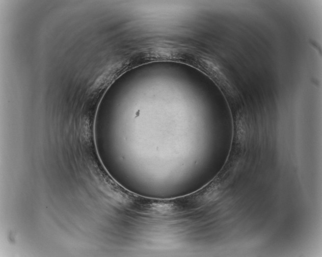 X0000102810457200808181227