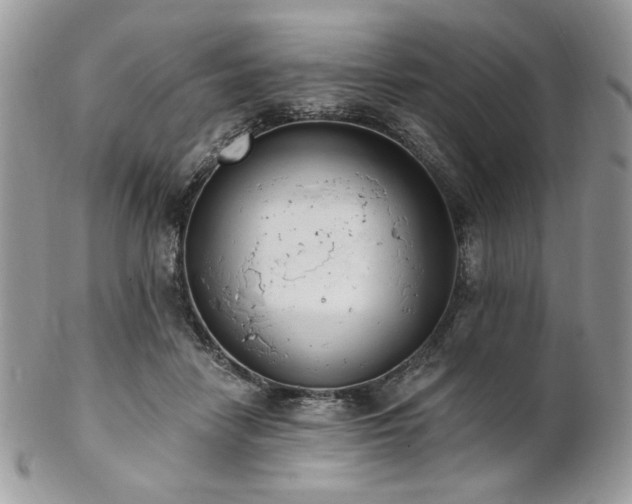 X0000102810458200808181227