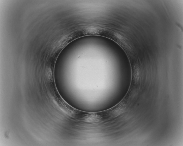 X0000102810459200808181227