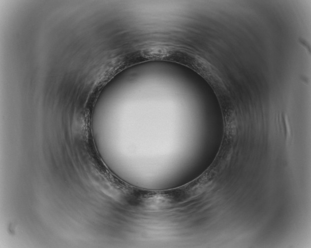 X0000102810460200808181227