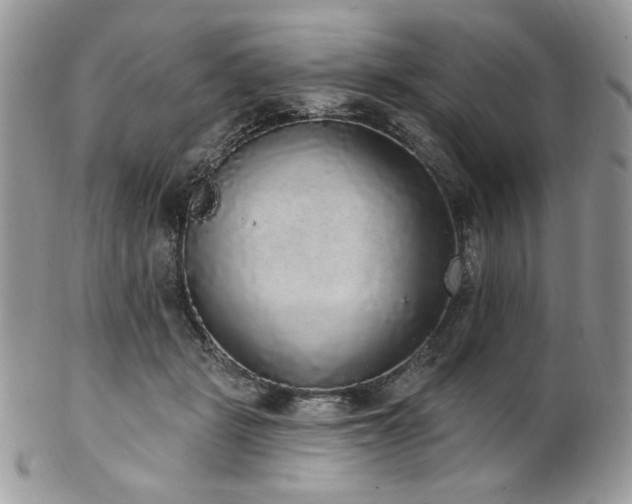 X0000102810461200808181227