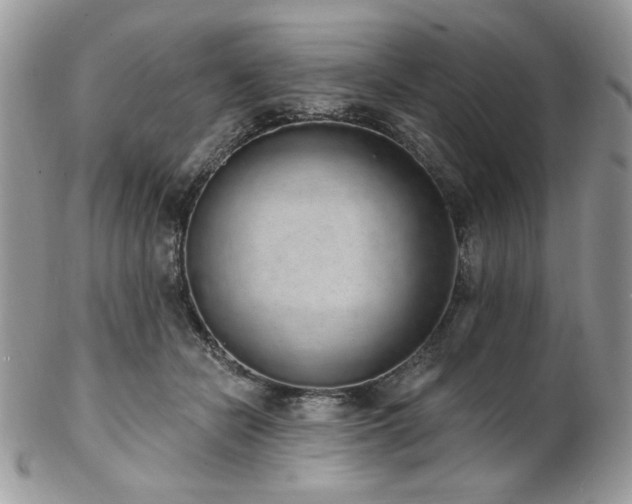 X0000102810462200808181227