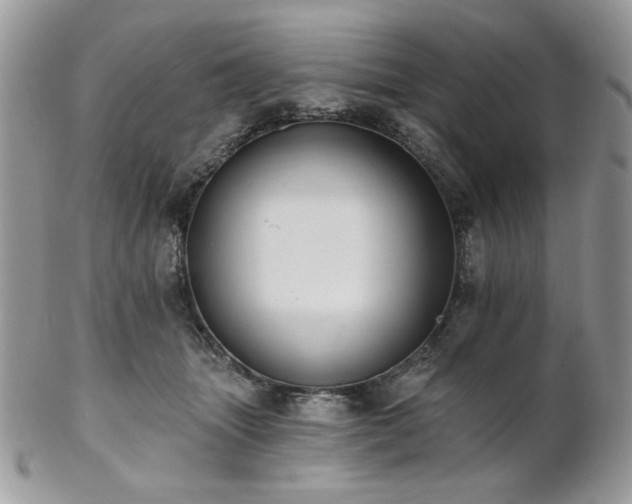 X0000102810463200808181227