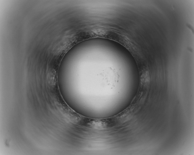 X0000102810464200808181227