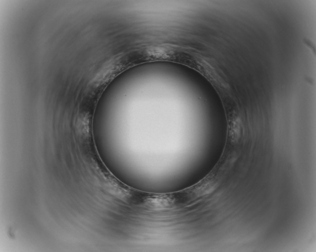 X0000102810466200808181227